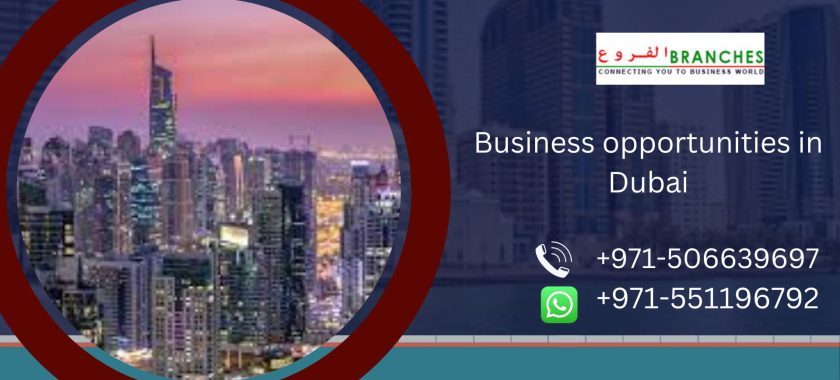 Business opportunities in Dubai