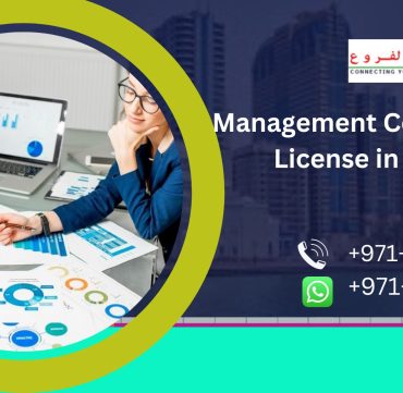 Management Consultancy License in Dubai