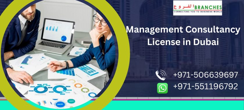 Management Consultancy License in Dubai
