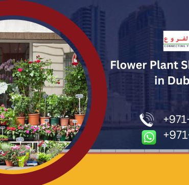 Flower Plant Shop Setup in Dubai