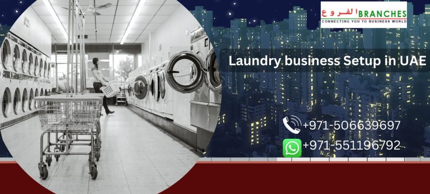 Laundry business Setup in UAE